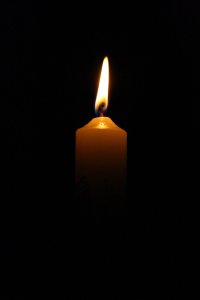 a_light_in_the_dark