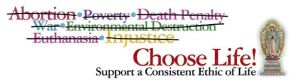 Consistent-Ethic-of-Life-Banner