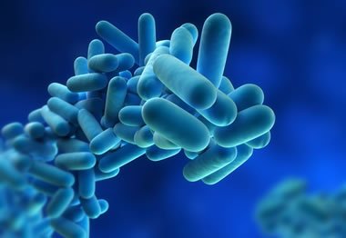 legionnaires-disease