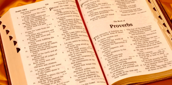 proverbs