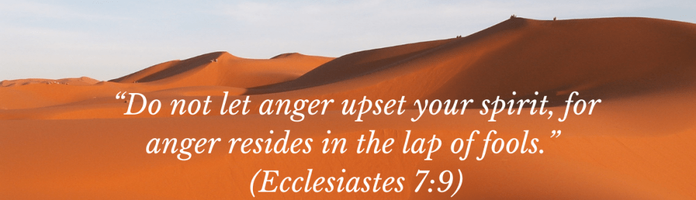 Anger and the lap of fools